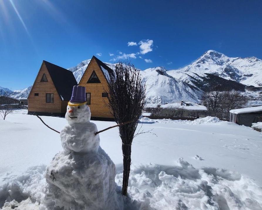 Via Kazbegi 빌라 외부 사진